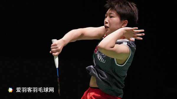 翼卫属性 翼卫属性