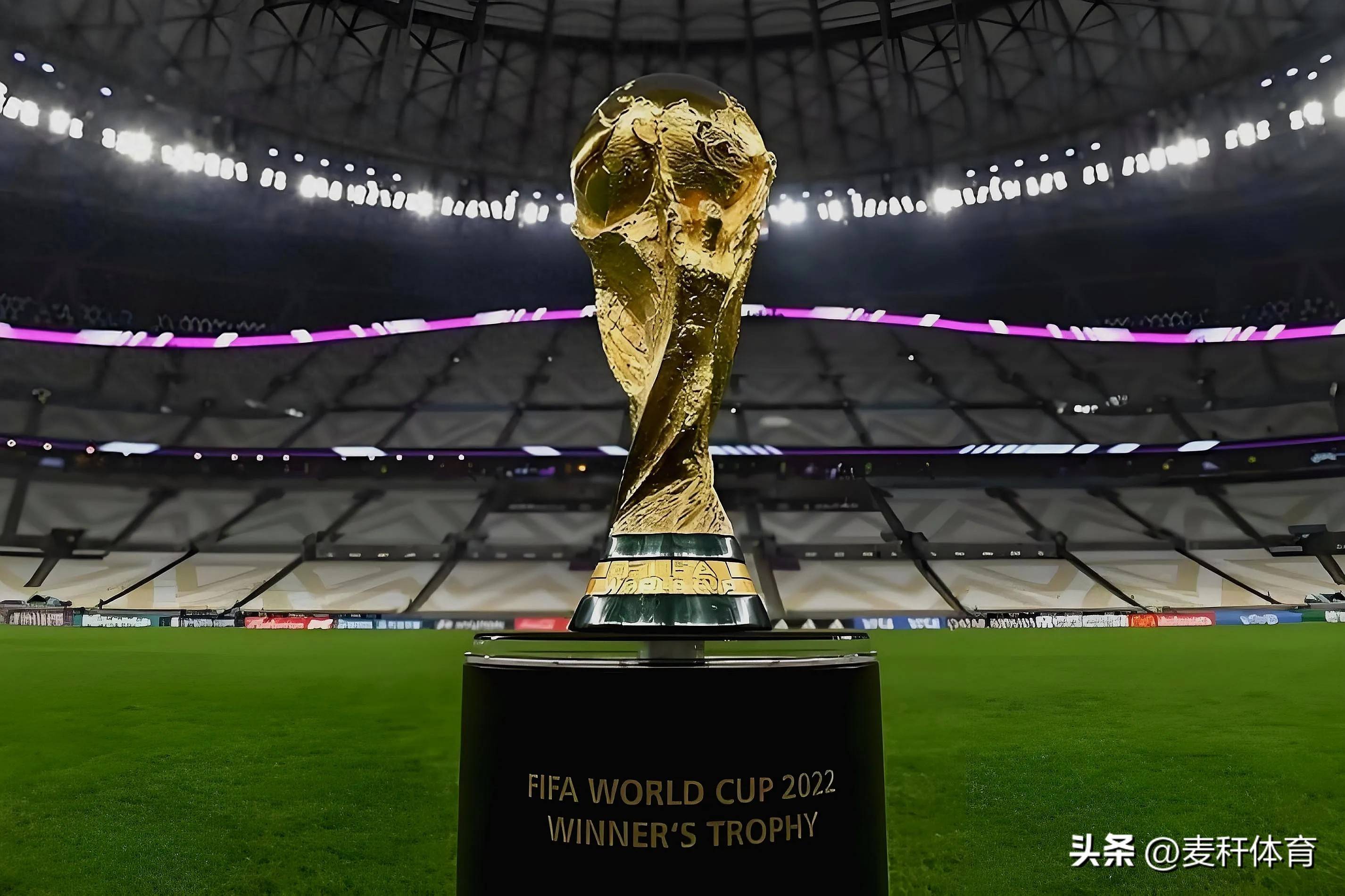 成为她未来 成为她未来