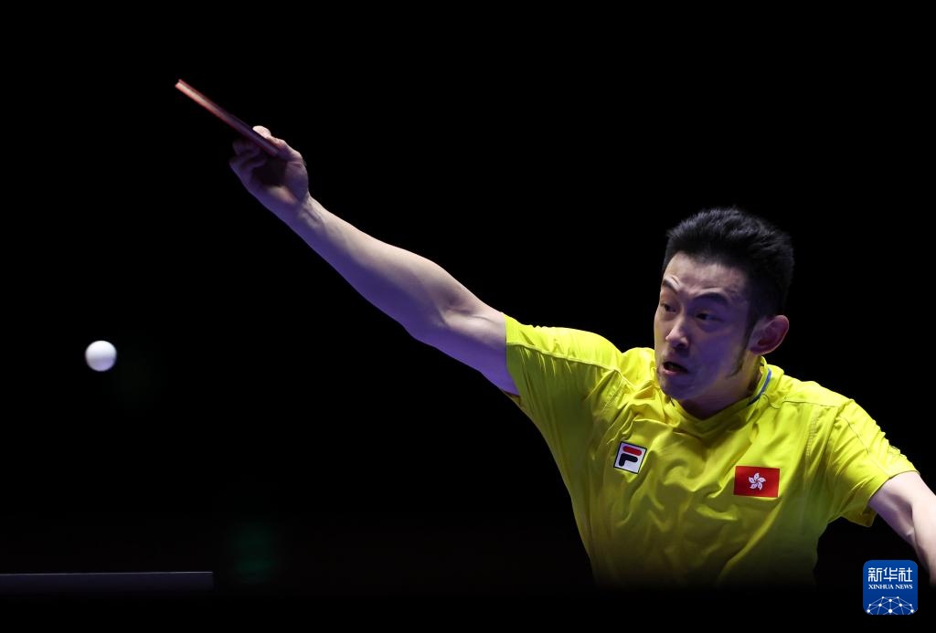 动新标杆 动新标杆